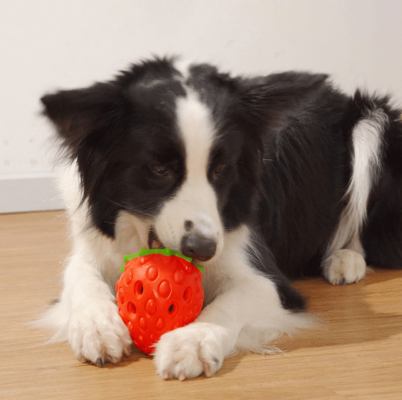 Pet Toys Dog Chewing Molar Eating Educational Rubber Toys Dog Toys
