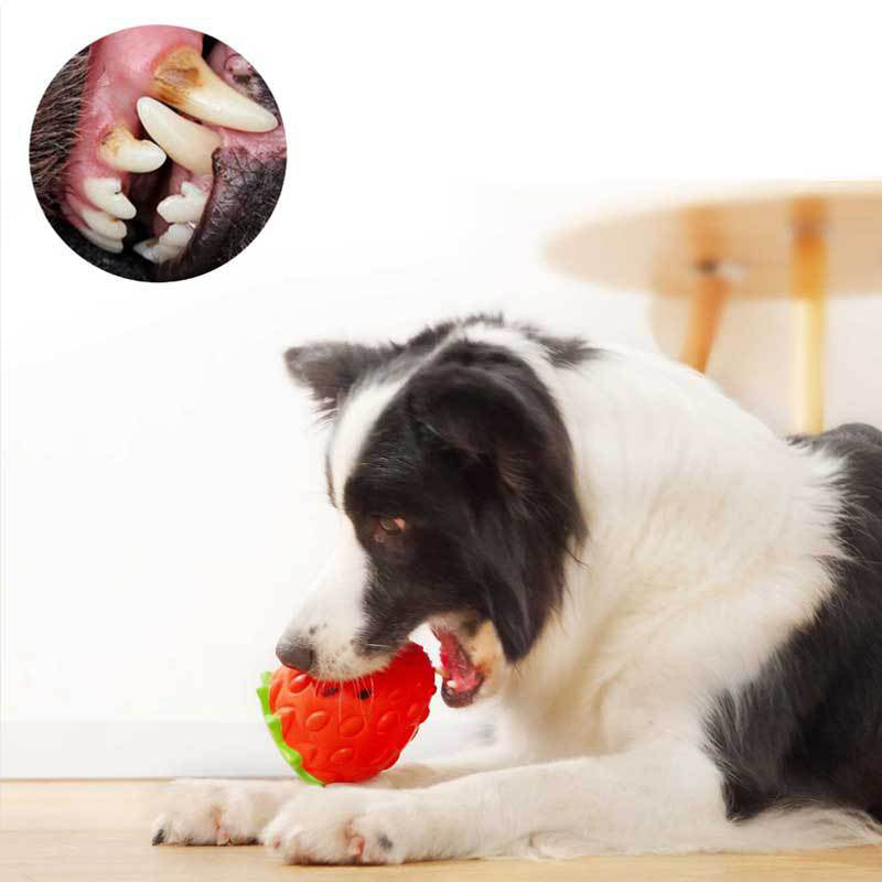 Pet Toys Dog Chewing Molar Eating Educational Rubber Toys Dog Toys