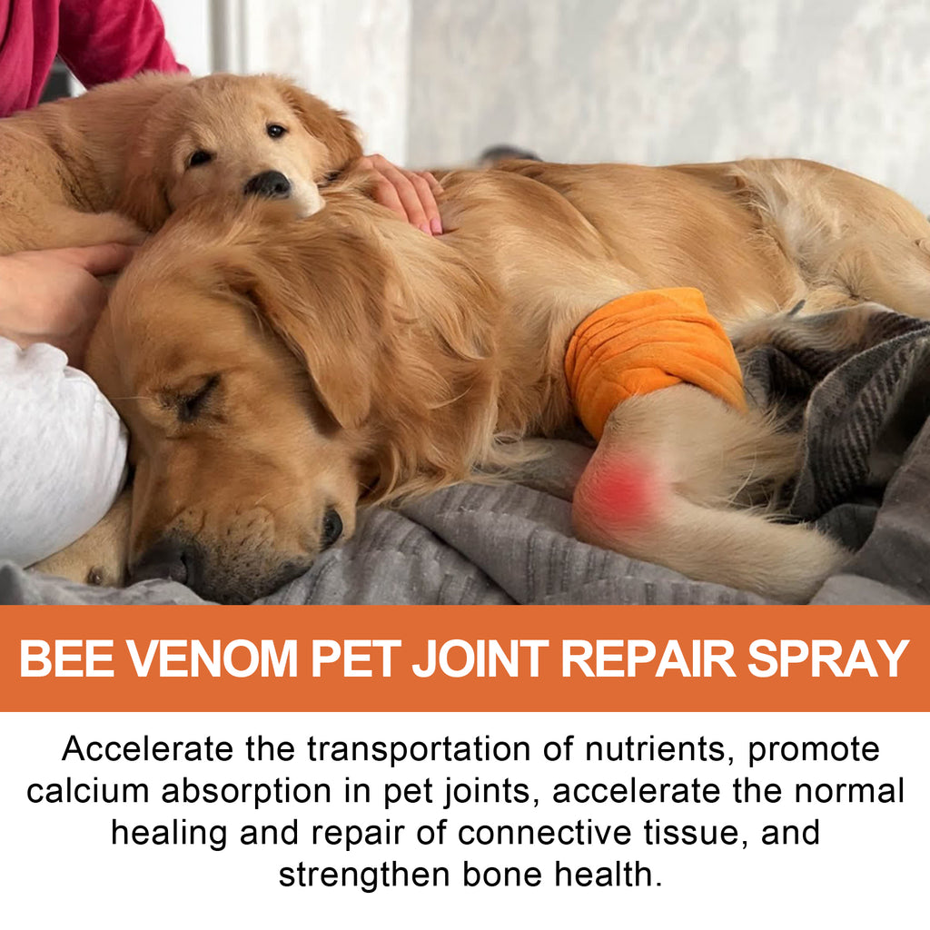 Yegbong Pet Joint Repair Spray, Relieve Pet Joint Discomfort Muscle Weakness Pet Joint Care Spray