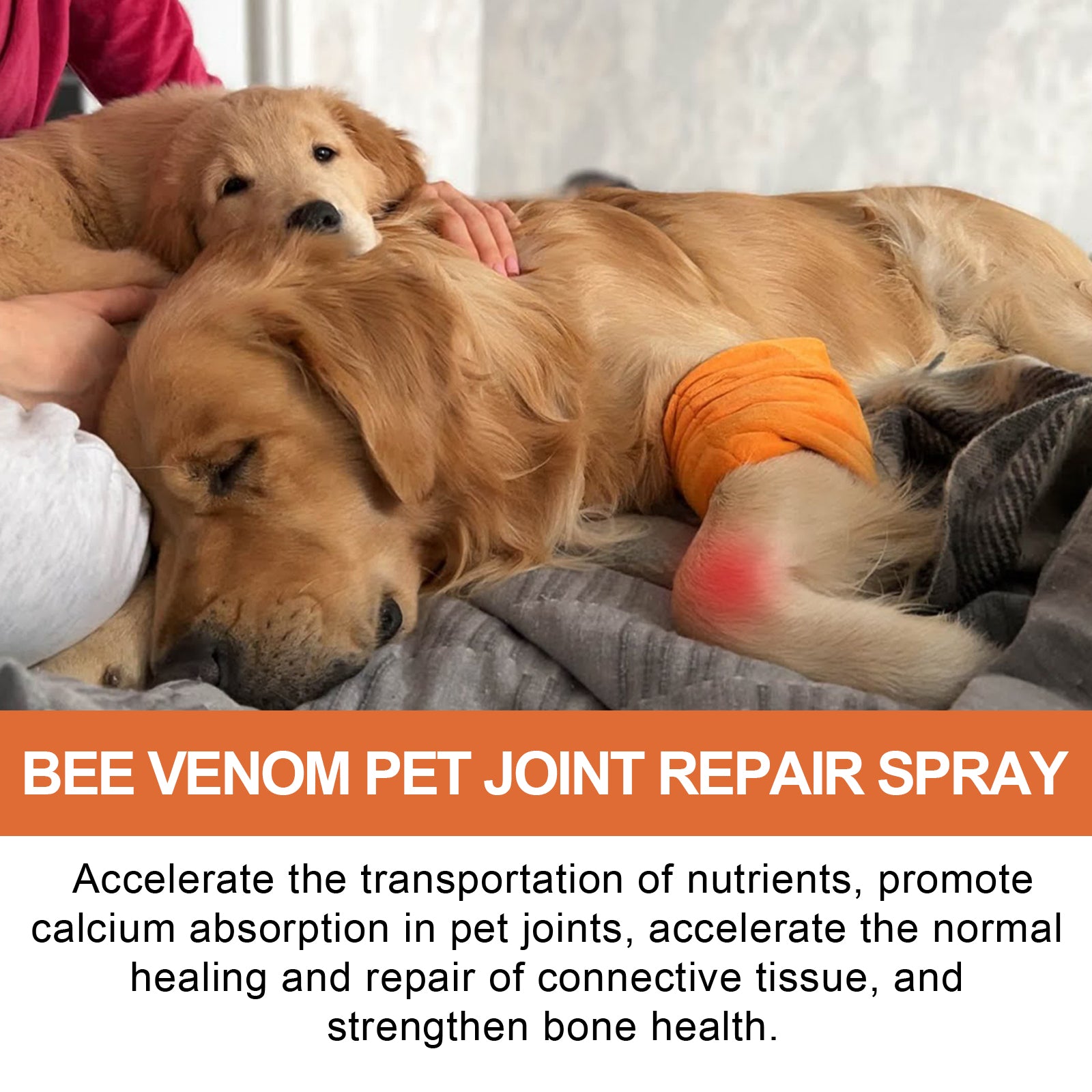 Yegbong Pet Joint Repair Spray, Relieve Pet Joint Discomfort Muscle Weakness Pet Joint Care Spray